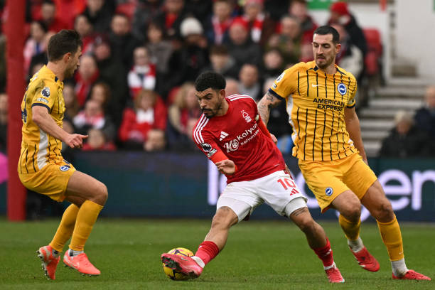 在前场组织 在前场组织